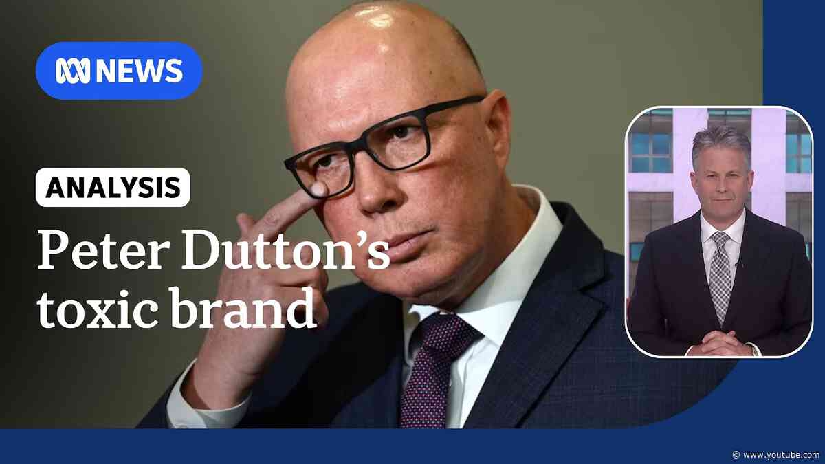 Liberal insiders say Peter Dutton sunk party long before election | ABC NEWS