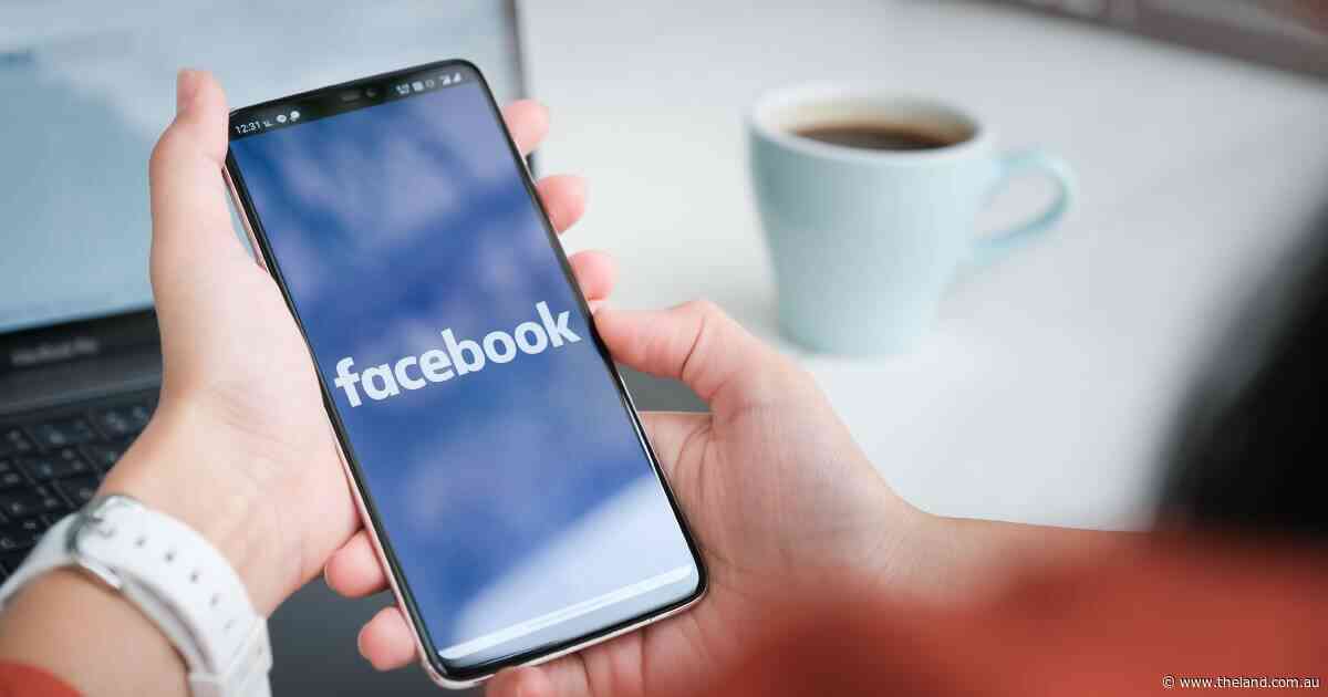 Tech giants see a lift in share prices after strong earnings reports