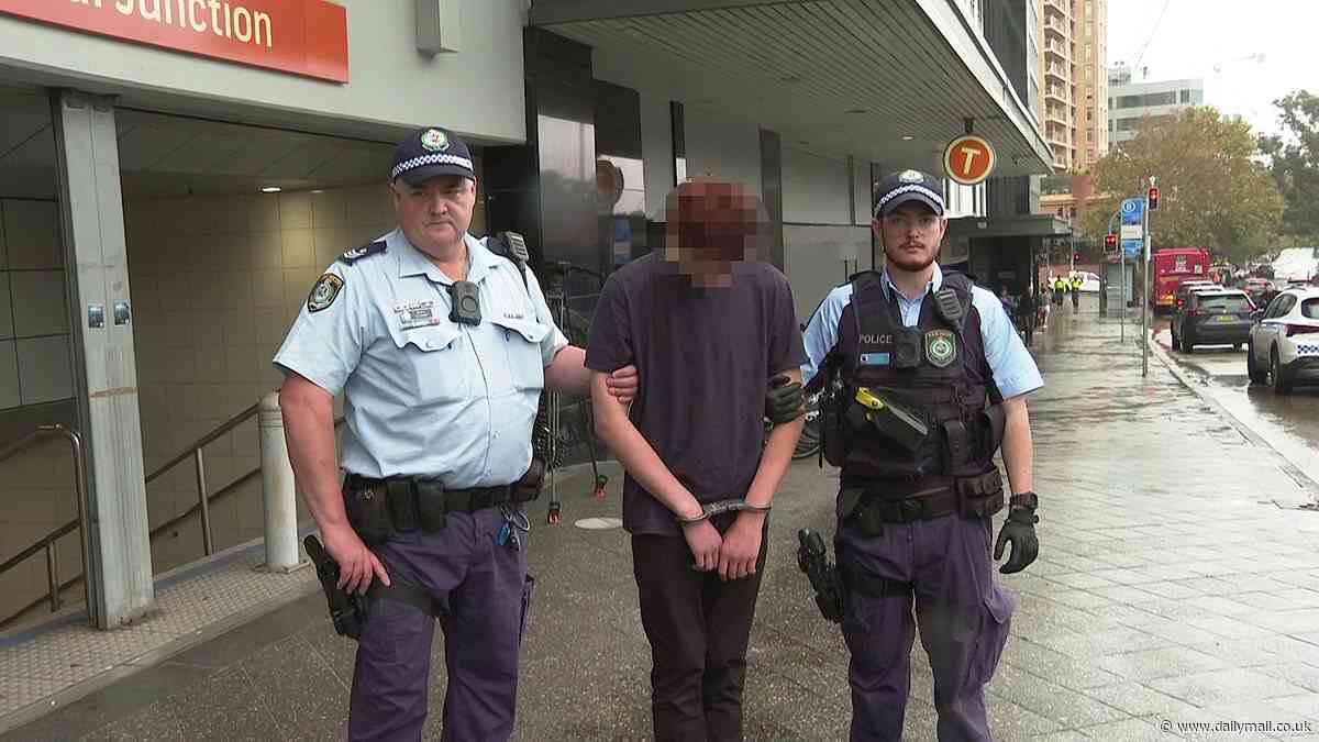 Four teens arrested after high-speed police chase ends at Bondi Junction