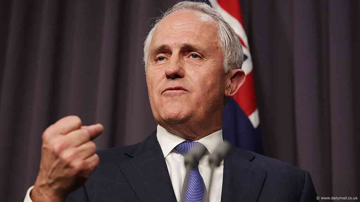 Malcolm Turnbull quietly parts ways with US finance firm after sledging Donald Trump in epic war of words