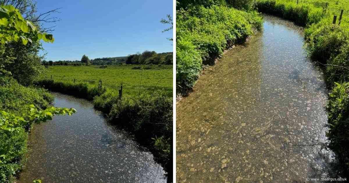Residents confused after finding river covered in brown substance