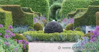 Arundel Castle's huge Allium Extravaganza happening this month