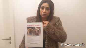 Mutmaßlicher Hundediebstahl in Köln