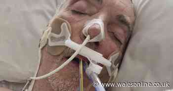 Man came back from holiday with 'flu' and spent four months in hospital
