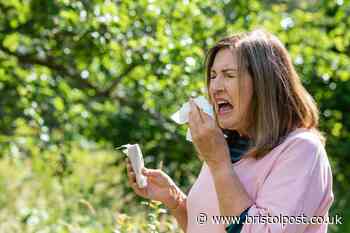 Expert explains surprising reason hay fever is worse this year