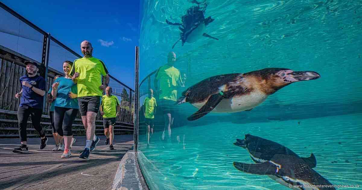 Chester Zoo announces new event 'you won't get anywhere else'