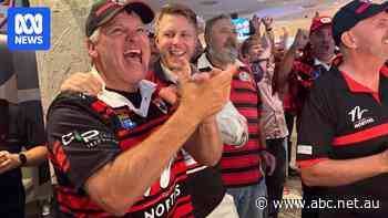 'I never gave up hope': Bears faithful joyous as NRL return confirmed