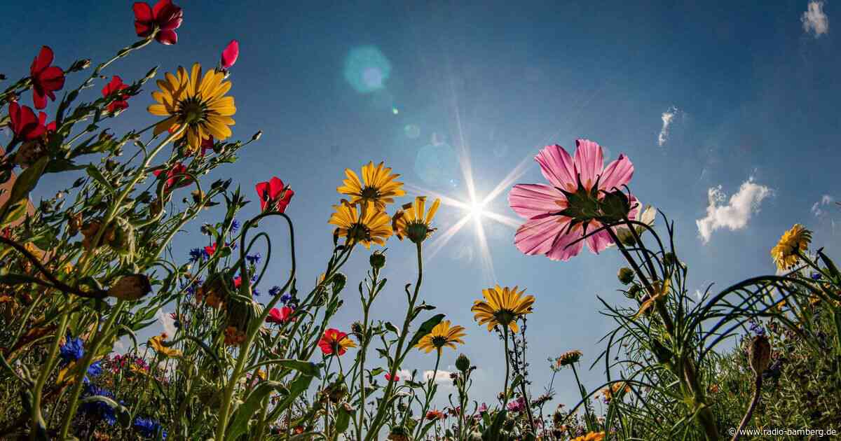 Neuschnee in den Bergen – Sonniges Wochenende in Sicht