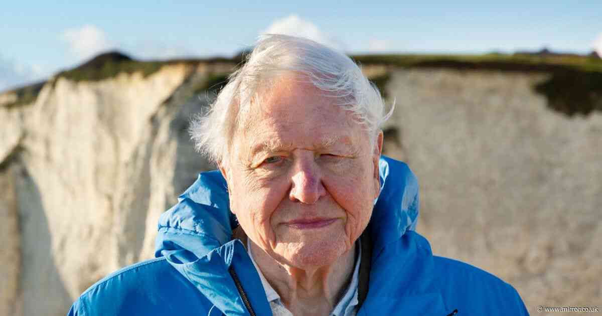 David Attenborough leaves directors in in tears over 'biggest message' he's ever told ahead of his birthday