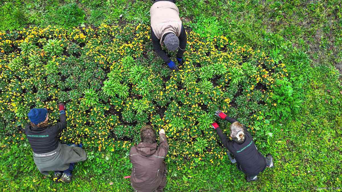 Dienstleister beauftragt?: Wie sich mit Gartenarbeiten Steuern sparen lassen