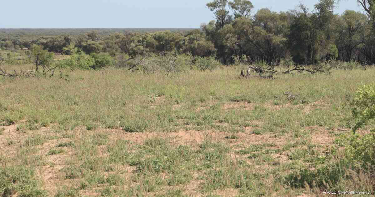 Western Queensland rolling term lease sells for $1.65 million at auction