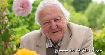 17 fascinating facts about Sir David Attenborough's career as he turns 99