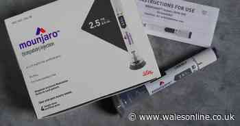 WeightWatchers files for bankruptcy after rise of fat loss injections Ozempic and Mounjaro