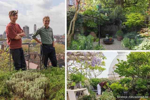 Tuinarchitecten Bart en Pieter tonen hoe je zelfs in stad groene oases creëert: “Prachtige resultaten met minimale inspanningen”