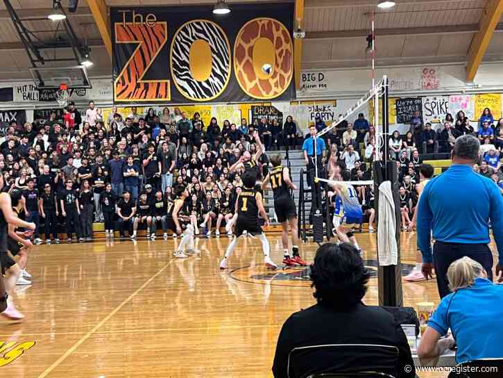 Peninsula boys volleyball defeats Santa Margarita in a thrilling quarterfinal