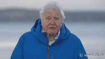 Nieuwe film David Attenborough (99) moet hoop geven: 'De oceaan kan weer tot leven komen'