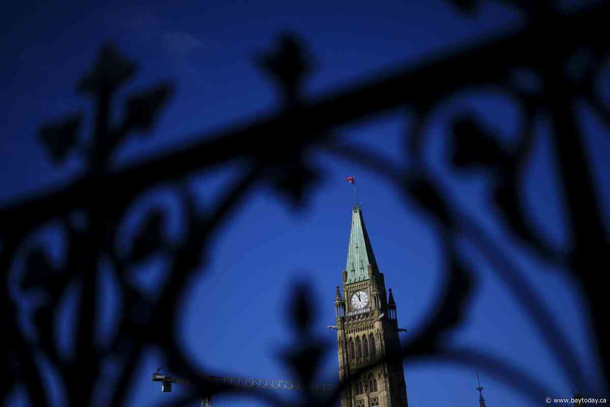 In the news today: Former NDP MP warns: tough times ahead in parliament for the party