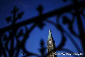 In the news today: Former NDP MP warns: tough times ahead in parliament for the party