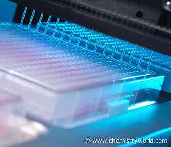 Accelerating chemical discovery through high-throughput experimentation: in conversation with Matthew Gaunt