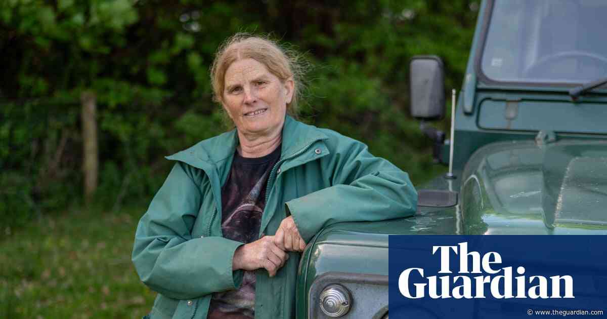 ‘The fledglings couldn’t escape’: Dartmoor blaze raises questions about wildfire strategy