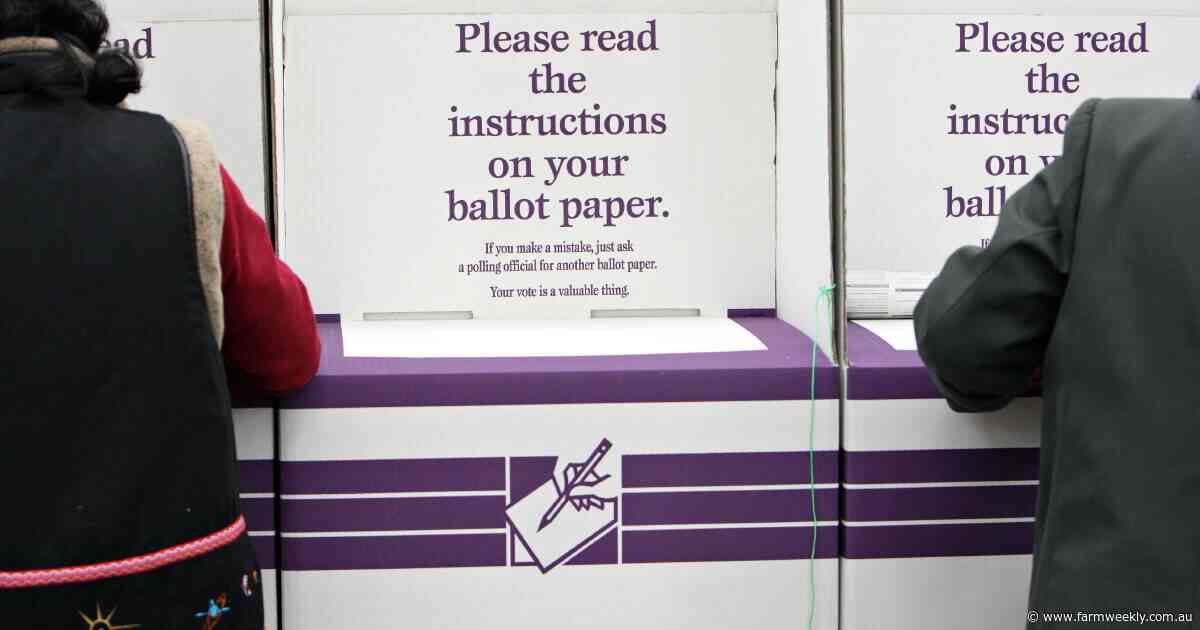 What now for Labor and Australia after landslide election result last weekend?