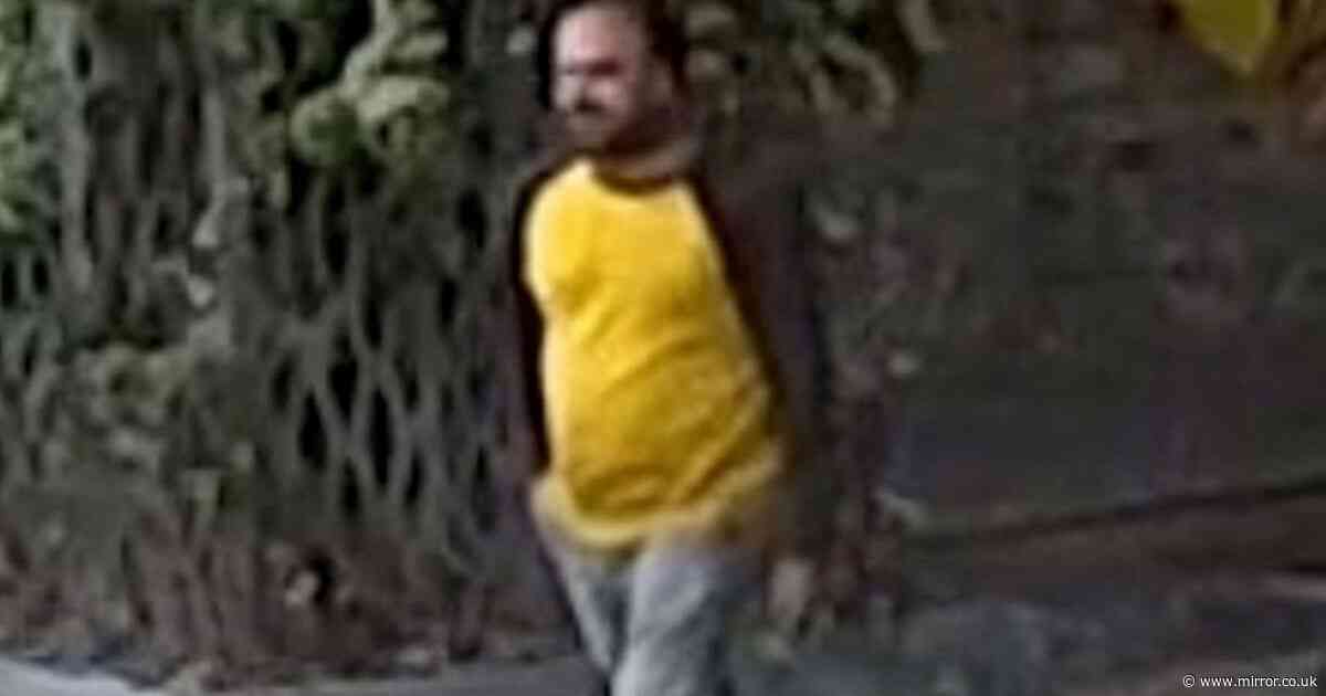 Boy, 17, sexually assaulted on bench by stranger in broad daylight as cops release CCTV