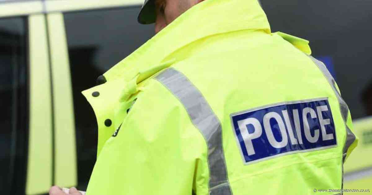 Police launch investigation after man dies in one-car Purley crash