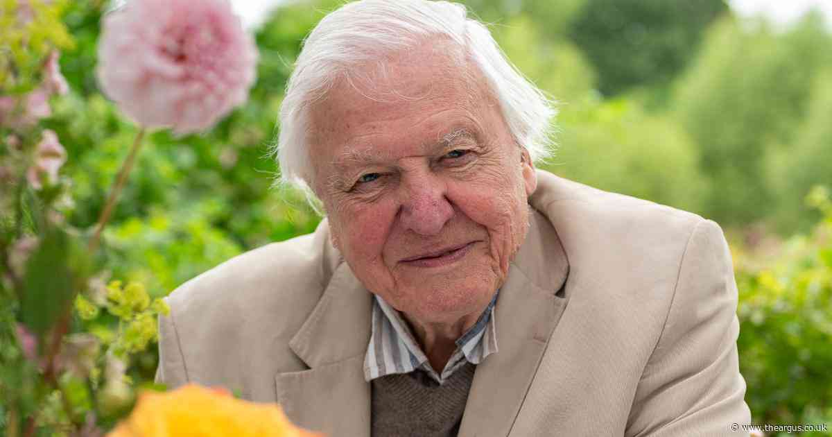 17 fascinating facts about Sir David Attenborough's career as he turns 99