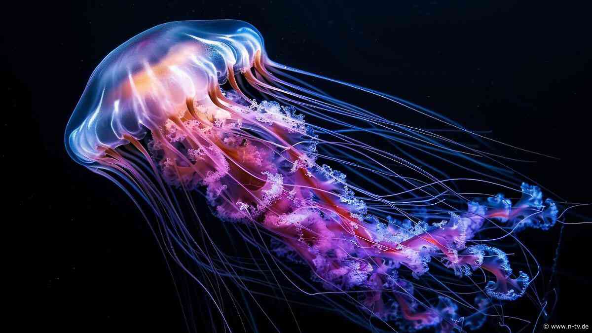 Wissenslücke "ernstes Problem": Laut Studie nur 0,001 Prozent der Tiefsee erforscht