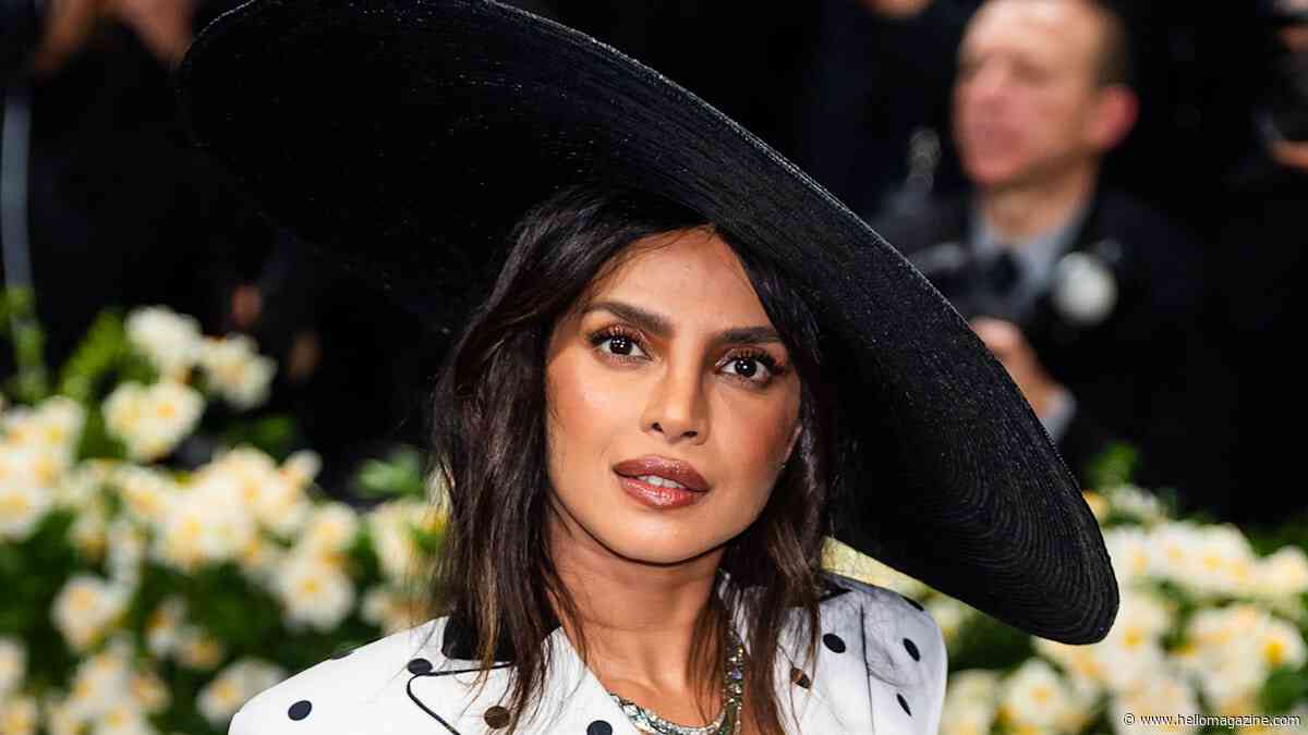 Priyanka Chopra wore a $20 million necklace at the Met Gala, and you might have missed it