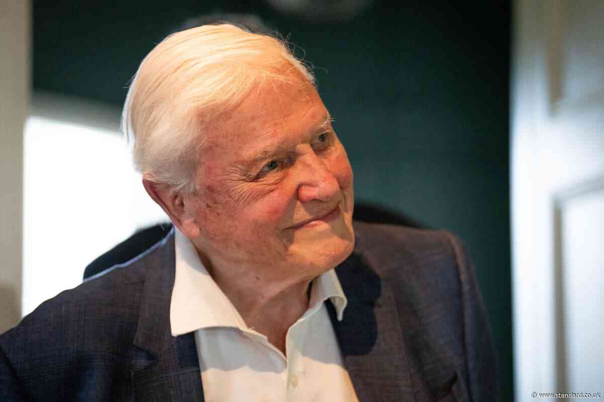Who are David Attenborough's wife and children and what do they do?