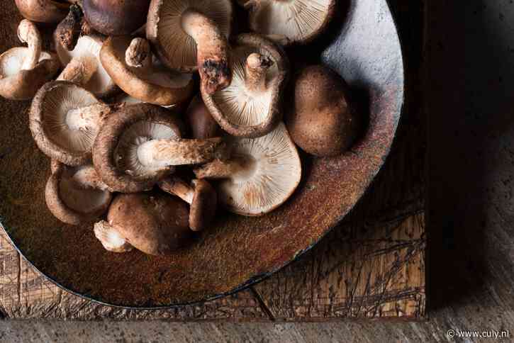 Wat zijn shiitake precies? (en hoe bereid je ze écht lekker?)