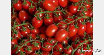 Tomatenprijzen april 2025 hoger dan in 2024