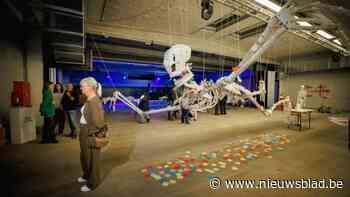 Leerlingen Huis van Creativiteit COLOMAplus cureren eigen expo