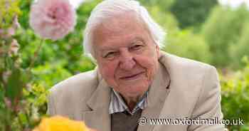 17 fascinating facts about Sir David Attenborough's career as he turns 99