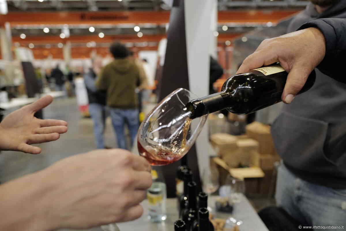 VinNatur compie 20 anni. Il “conclave” dei naturalisti sfida i colossi industriali: “Studiamo i difetti per migliorare i nostri vini”