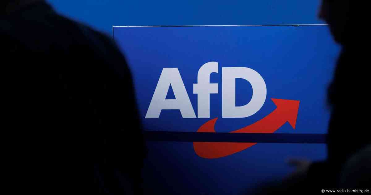 AfD rechtsextrem? Verfassungsschutz gibt Stillhaltezusage ab