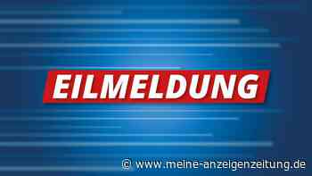 Verfassungsschutz nimmt AfD-Einstufung als „gesichert rechtsextremistisch“ vorläufig zurück
