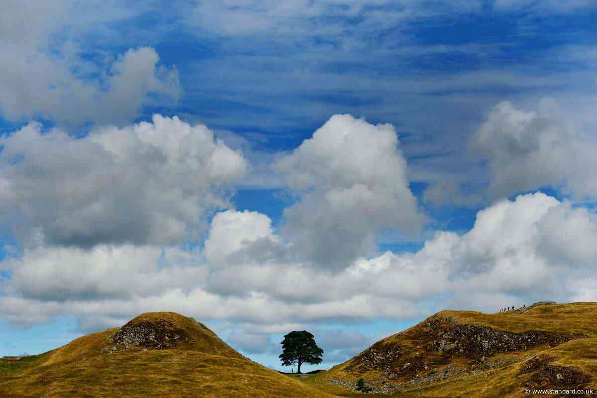 Jury in Sycamore Gap trial begins deliberations