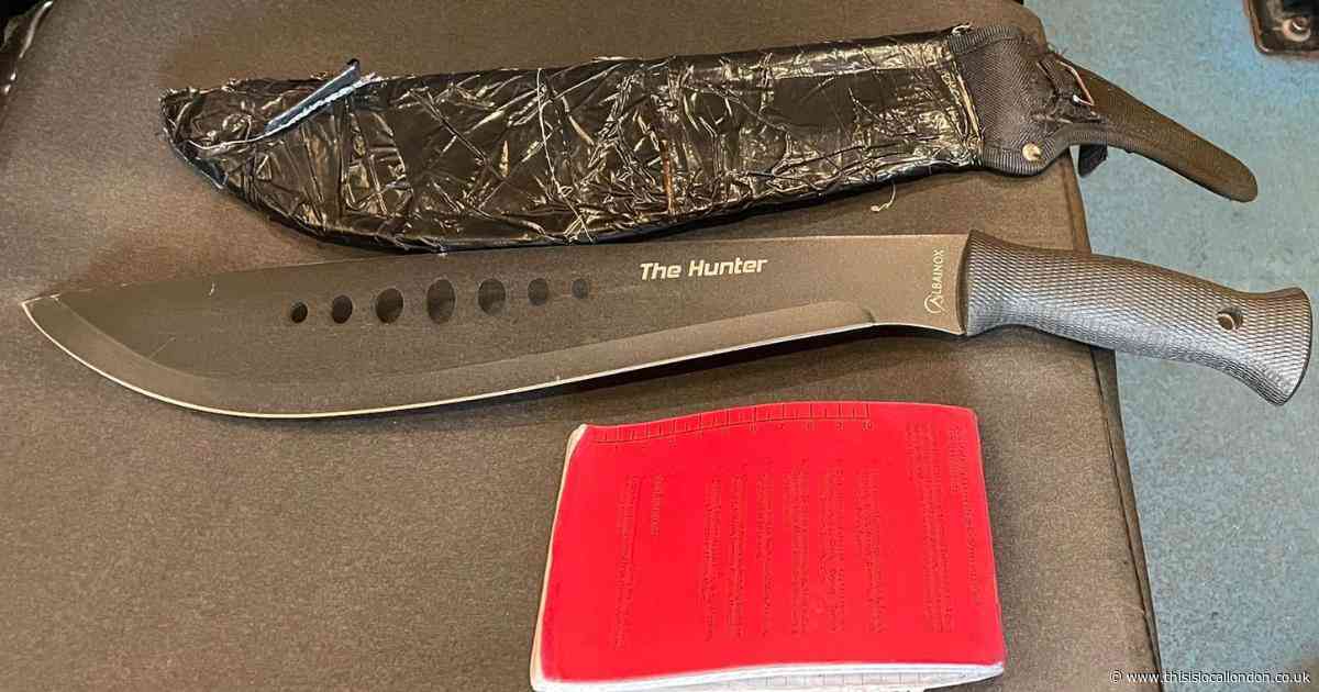 Teenager charged with having machete called ‘The Hunter’ in Ilford