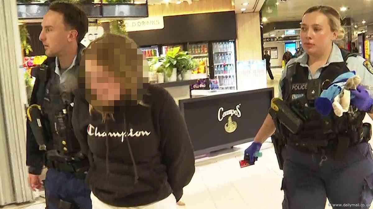 Jaw-dropping eight-words 12-year-old girl told cops after her and three teenage mates allegedly led them on a wild police chase across two states