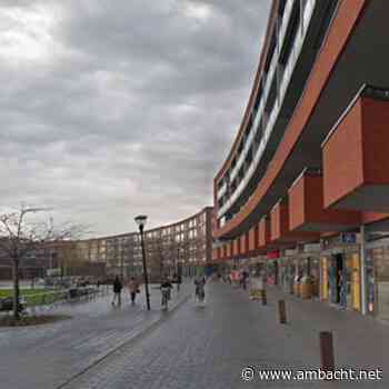 B&W: te weinig Boa’s handhaving overlast Sophiapark, RA wil meer inzet Boa’s