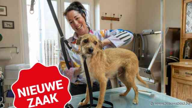 Ingrid stapte uit de ‘rat race’ en heeft rust gevonden als hondenkapster: “Als een hond zenuwachtig is, trim ik hem gewoon in twee of drie keer”