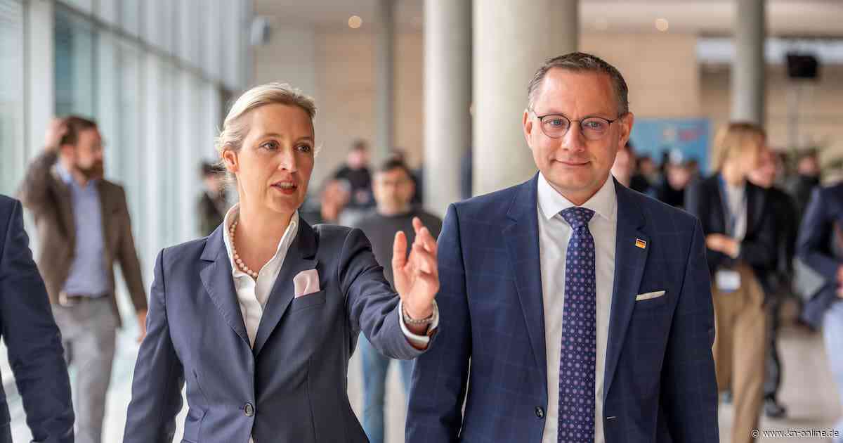 Verfassungsschutz: AfD vorläufig nicht „gesichert rechtsextremistisch“