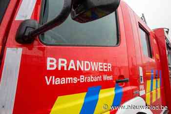 Struik vat vuur naast garage