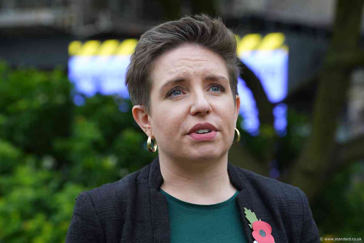Carla Denyer announces she will not stand again as Green party co-leader