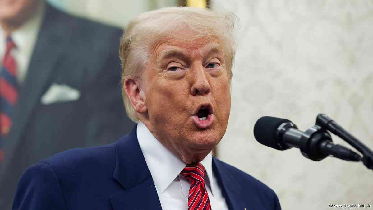 Zollstreit: Trump verkündet Handelsdeal mit Großbritannien