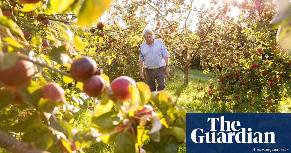 Core principles: the return of ‘real’ cider