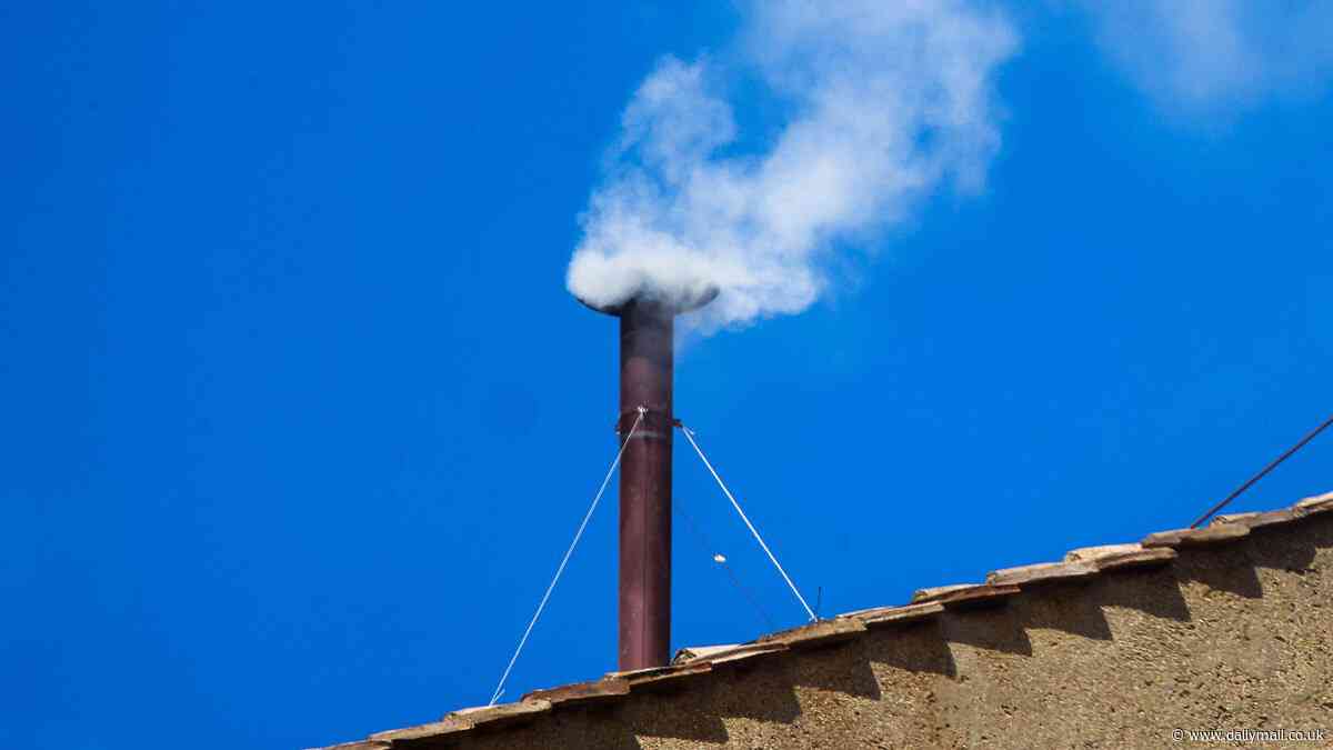 Confusion in the Vatican as white smoke appears to billow from Sistine Chapel - moments after 'no Pope' black smoke signal