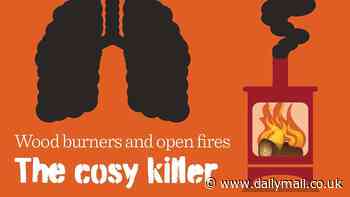 'Woke' council warned by watchdog over anti-wood-burning stove ad campaign that branded the heaters 'cosy killers'